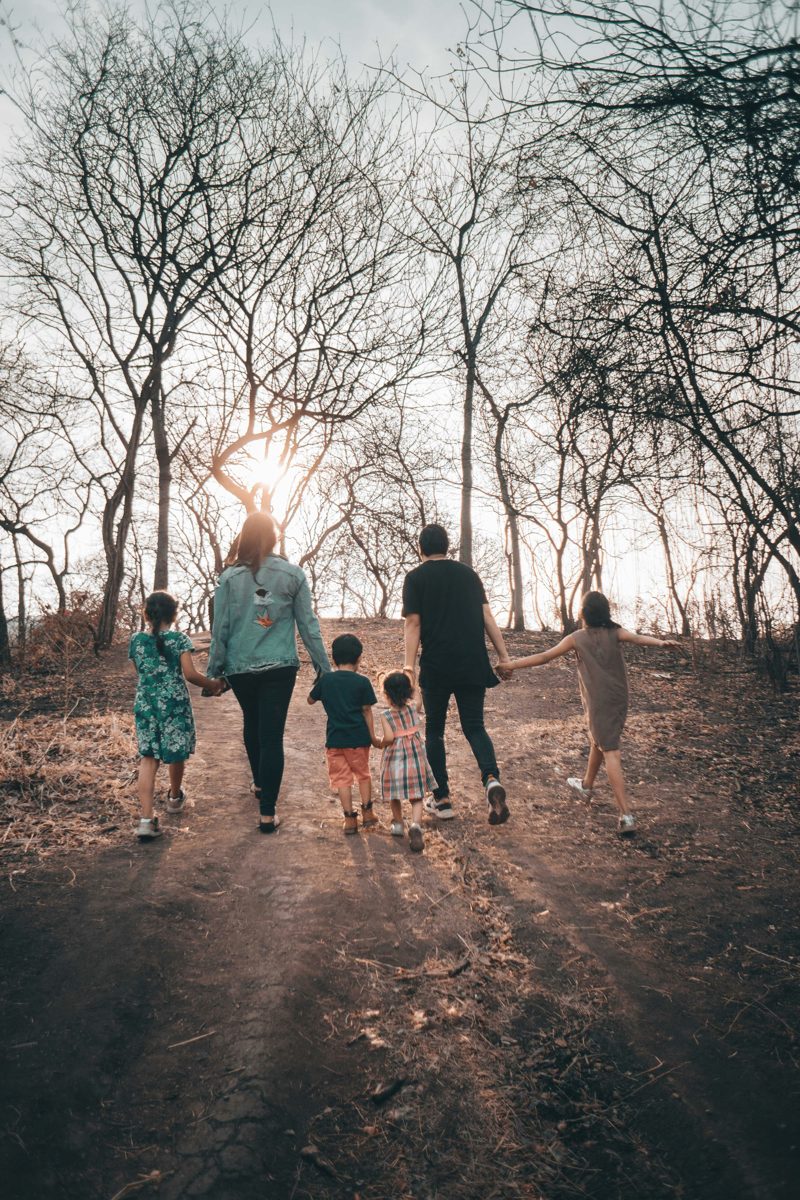 A family walking together on a wooded path at sunset, seen from behind