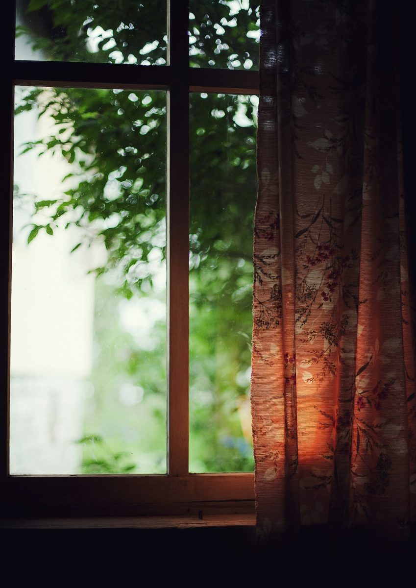 Soft light through a window with green leaves outside and a warm floral curtain